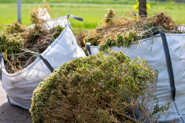 Best Professional Junk Removal  in Robinson, IL